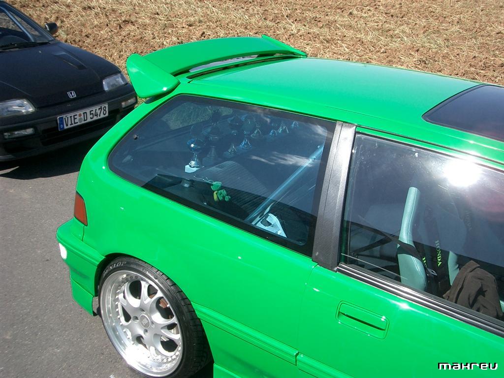 CIMG0556 (Large).JPG