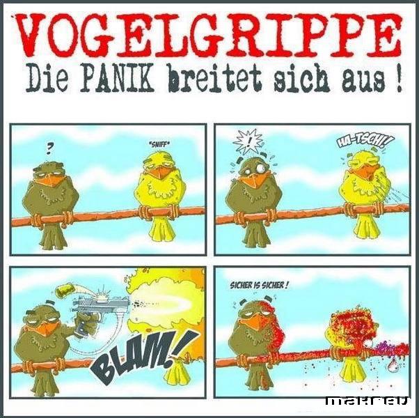 vogelgrippe.jpg