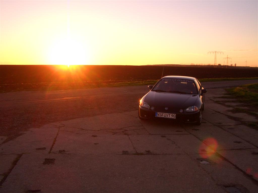 CIMG0412 (Large).JPG