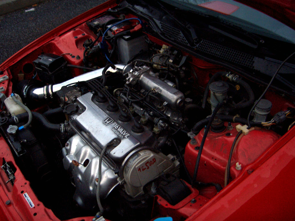 Civic Aktuell 003 Kopie.jpg