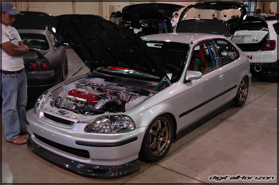 dsc5163a3zm.jpg