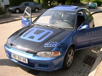 04motorhaubemugenundmehr2mediu.jpg