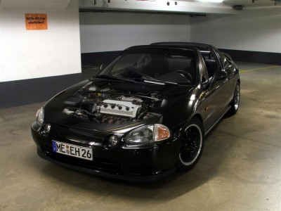 1 (Large).jpg