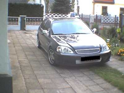 gitter023.jpg
