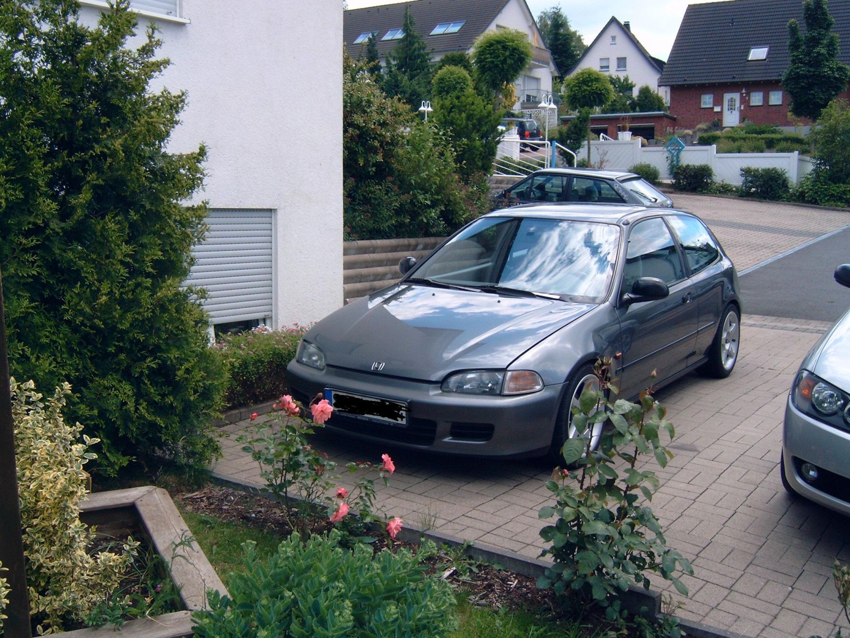 DSC00006.JPG
