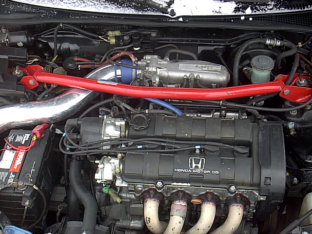 meiner im schnee11.jpg