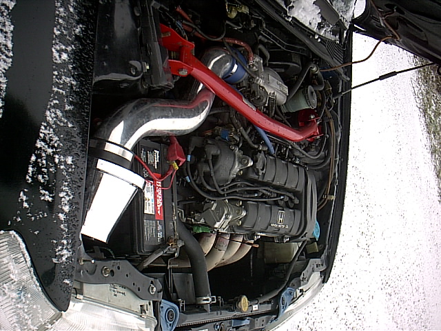 meiner im schnee12.jpg