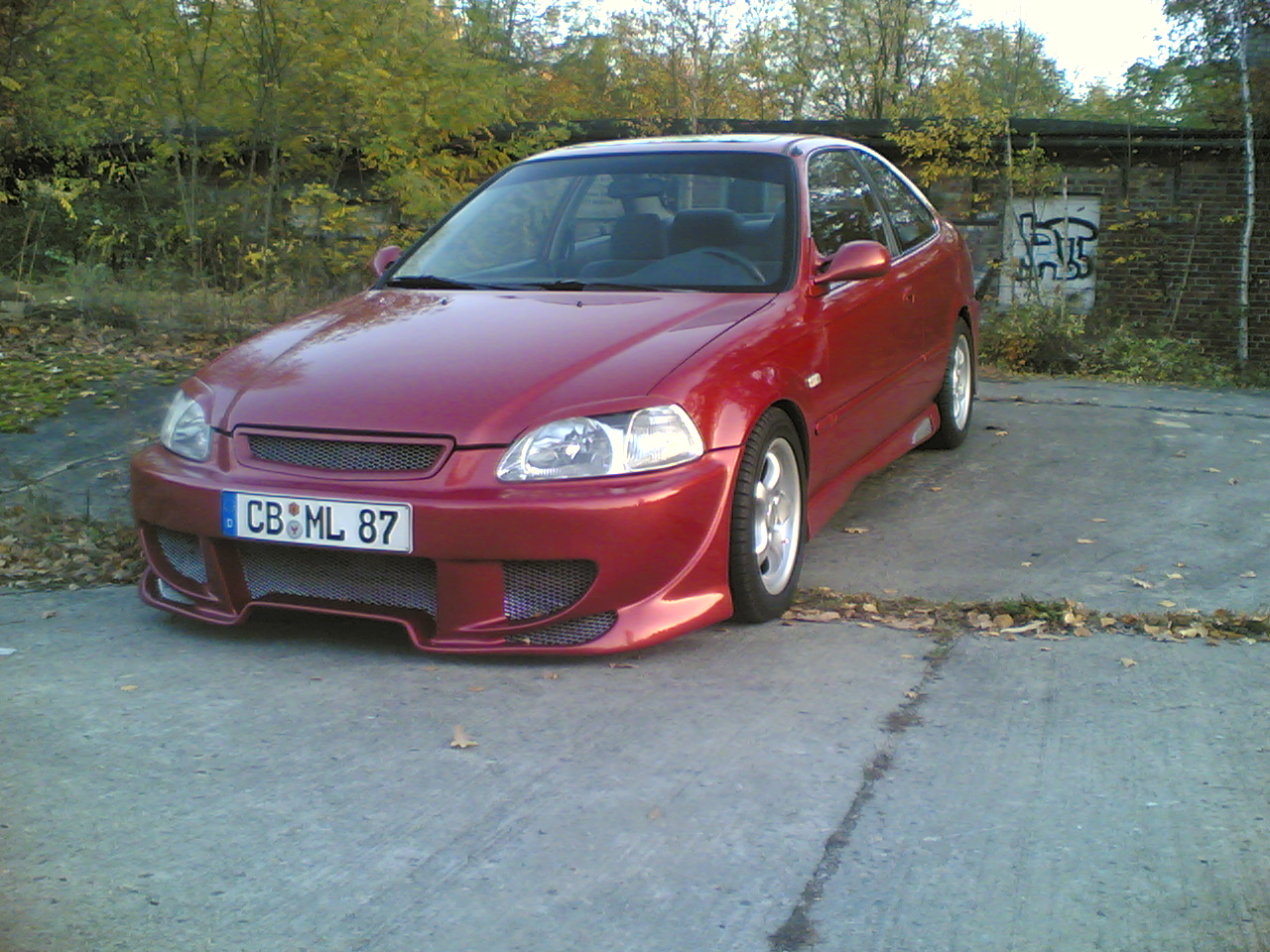 30102005004_951.jpg