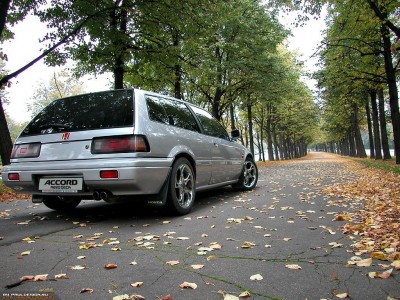 autumn2 (Large).jpg