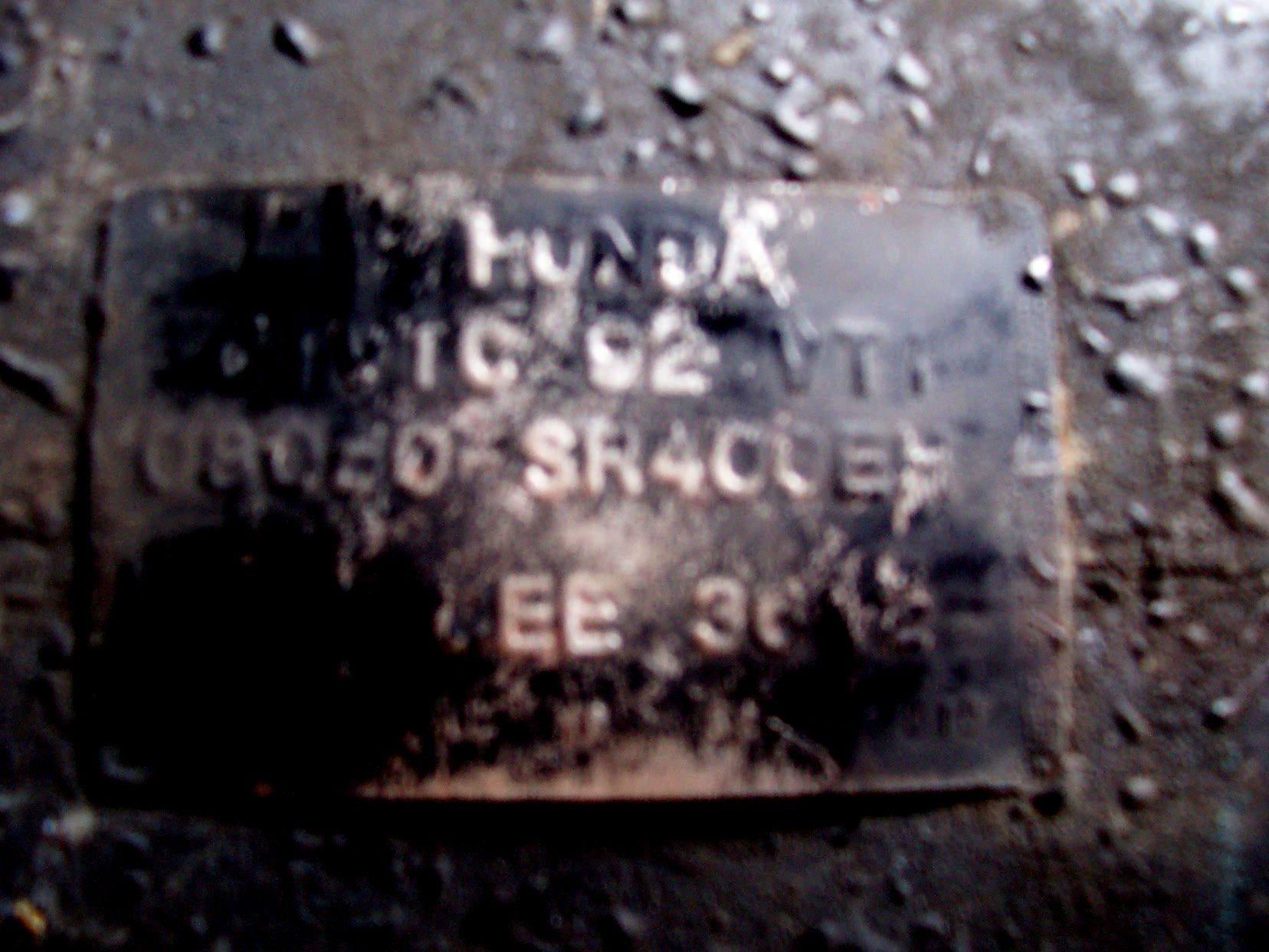 000_0065.jpg