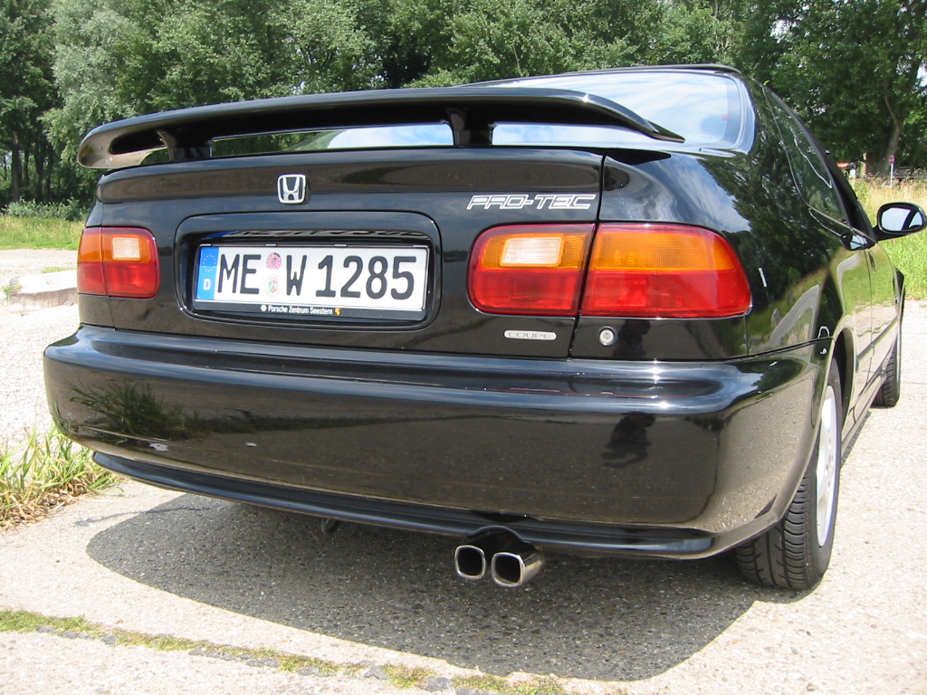 137-3778_IMG.JPG