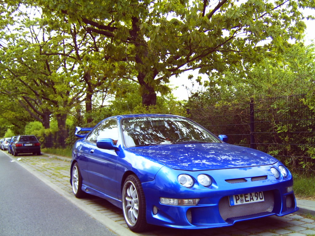 31Z30049.JPG