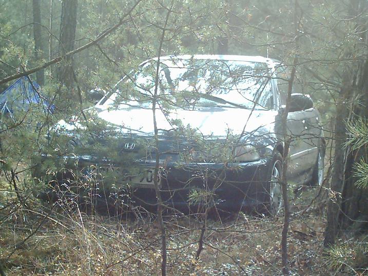 civic2.JPG