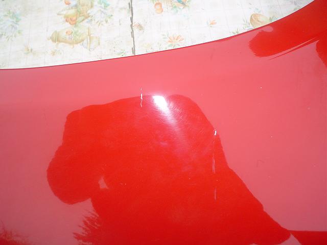 DSC03169.JPG