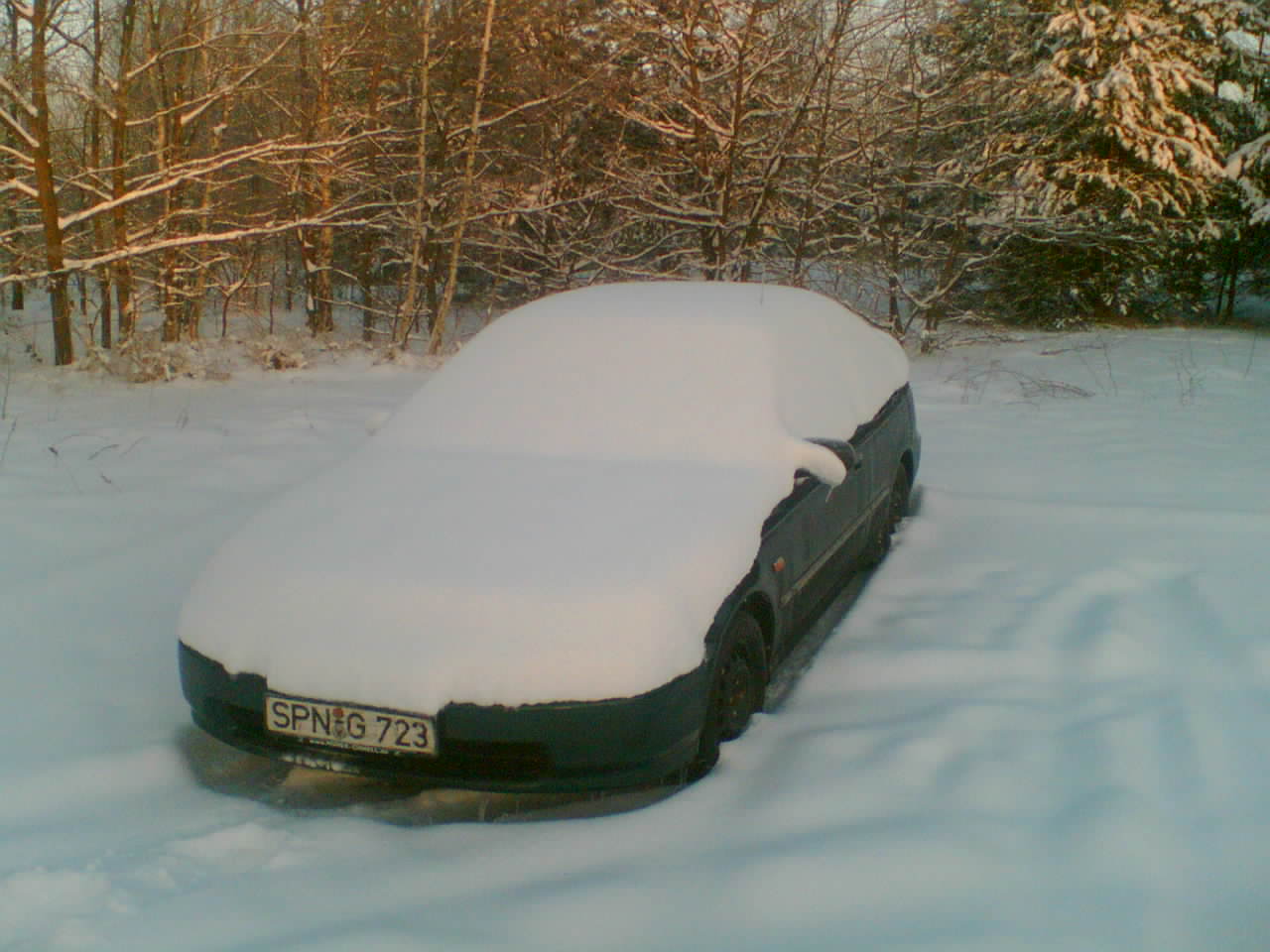 Foto(236).jpg