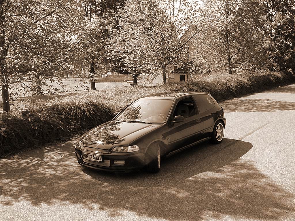 HondaPic3.jpg
