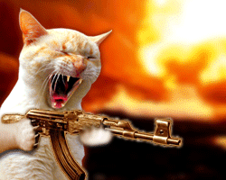 image002.gif