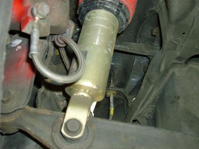 Bild 003 (Medium).jpg