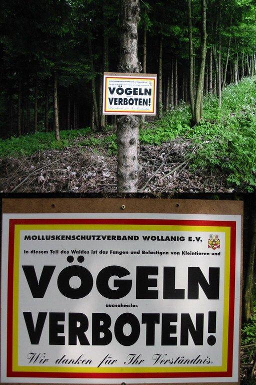 vö.jpg