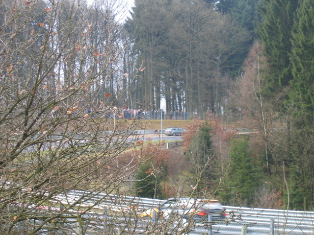 IMG_2353.jpg