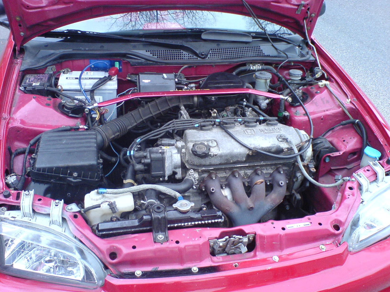 OEM.jpg