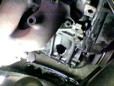 Bild099.jpg