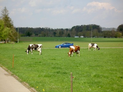 PICT0055.JPG