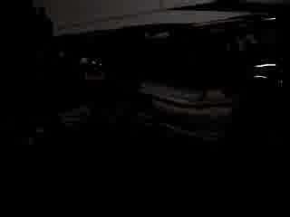 Rexorchester.WMV