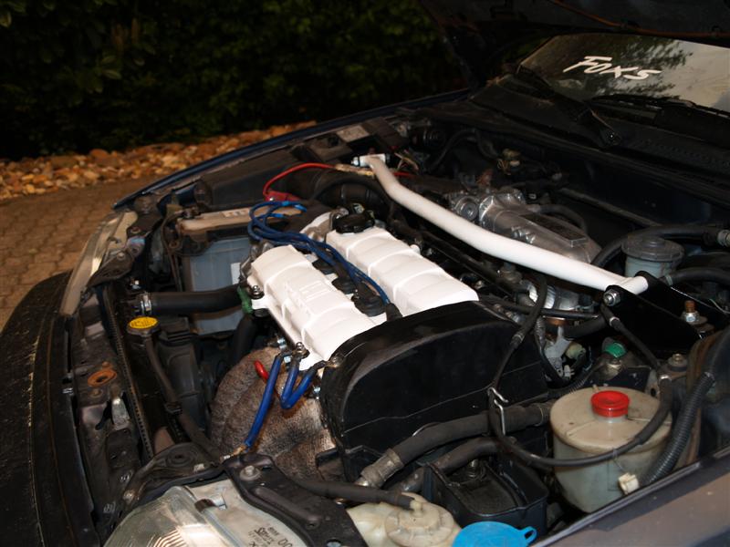 P5090381 (Medium).JPG