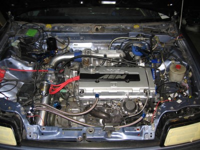 blueberry 010.jpg