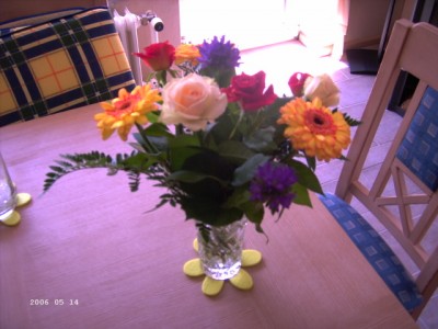 PICT0913.JPG