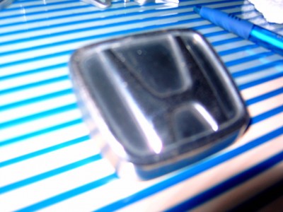 Y4110008a.JPG