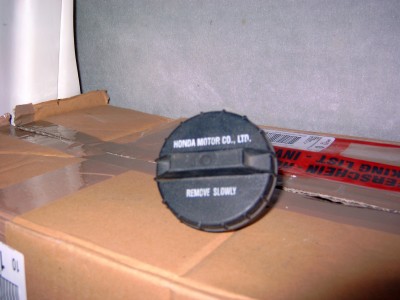 Y4110020.JPG