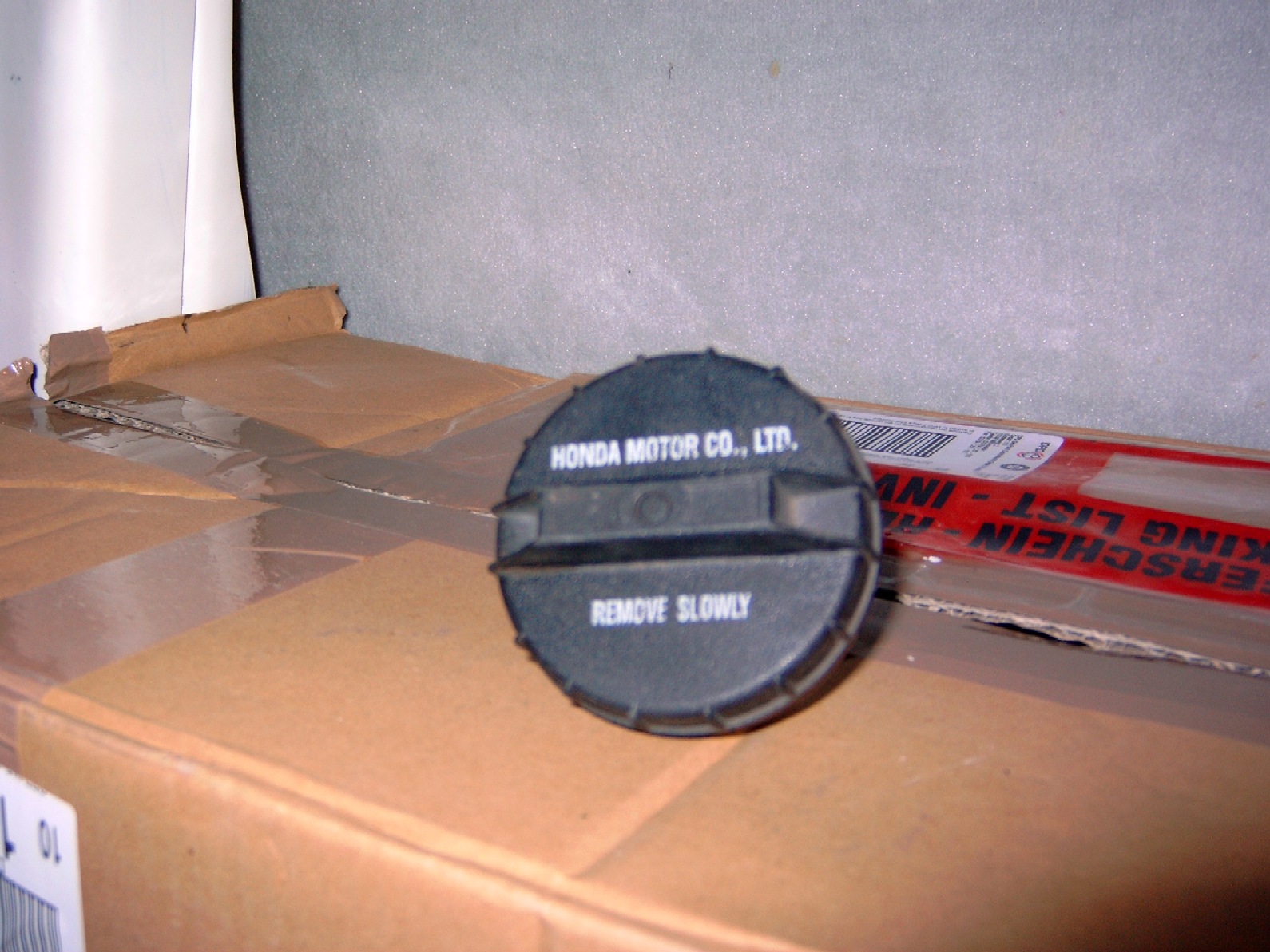Y4110020.JPG