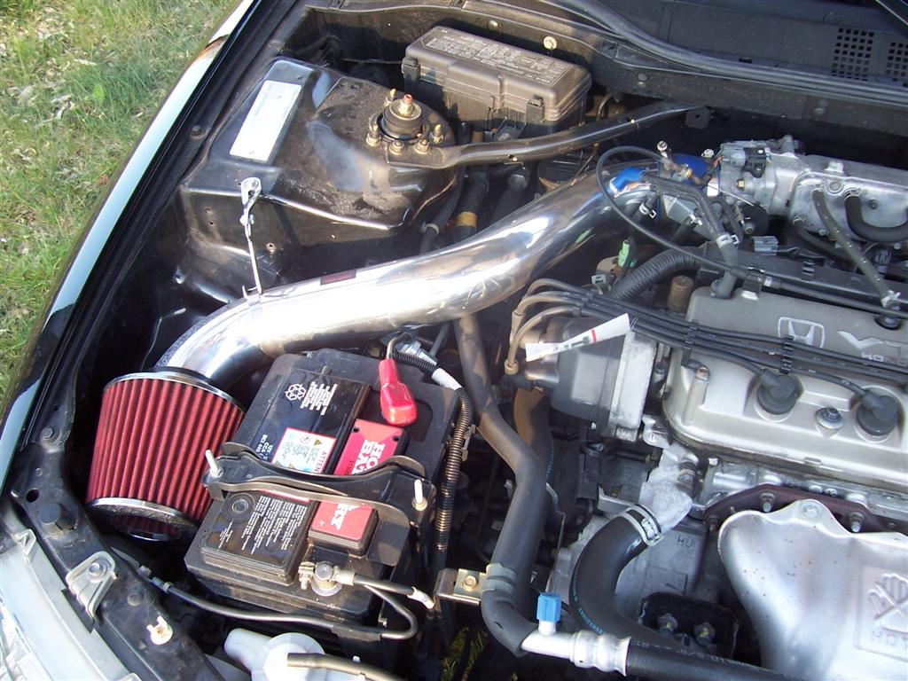 100_1864 (Large).JPG