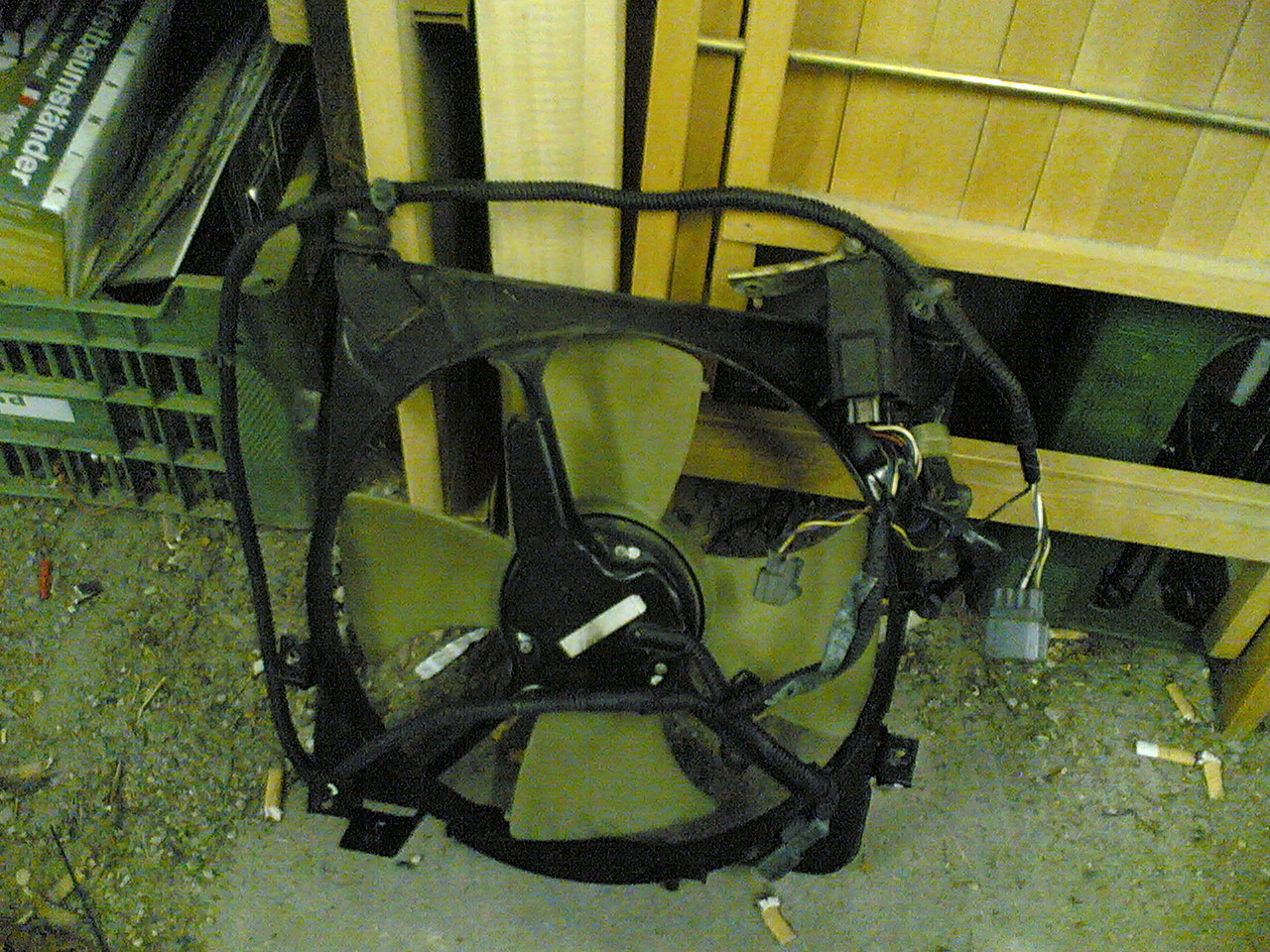 25052006(001).jpg