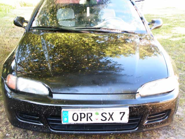 PICT0055.jpg