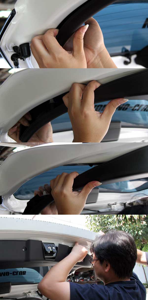 stage 5.jpg