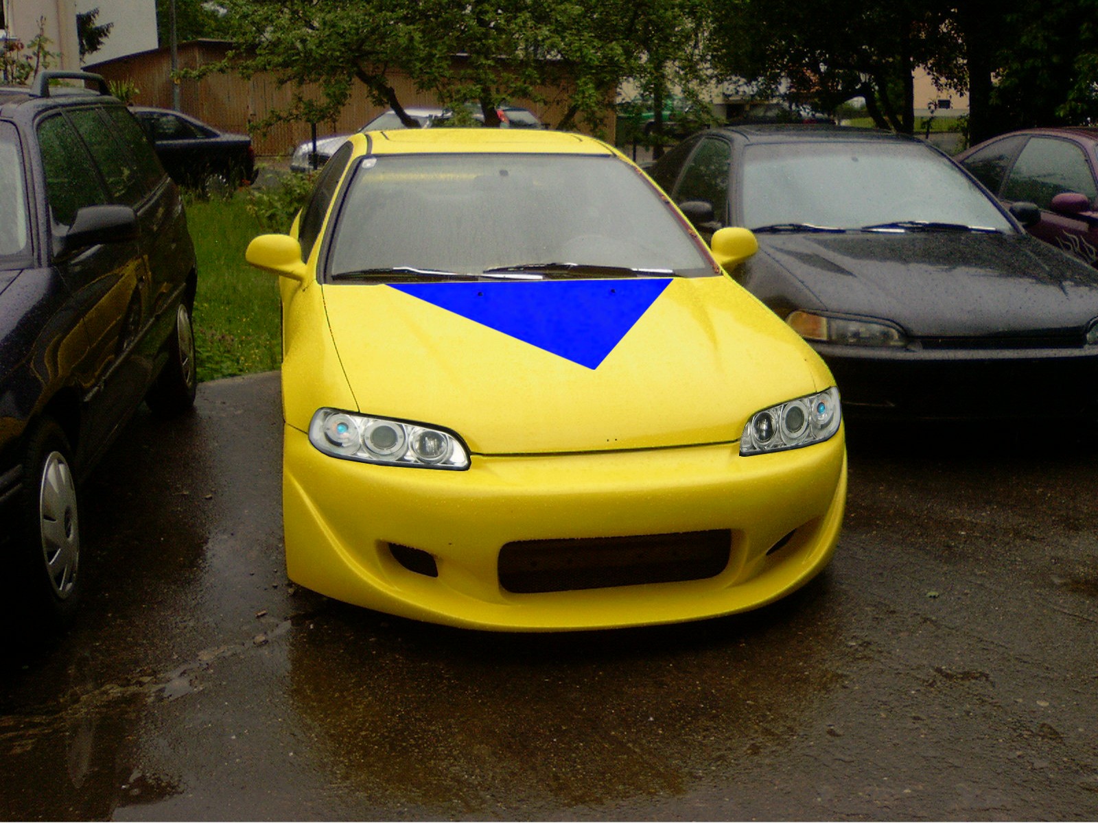 test in gelb.jpg