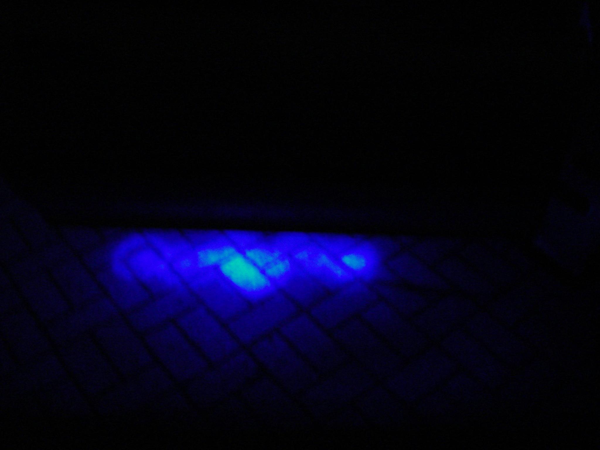 DSC00050.JPG