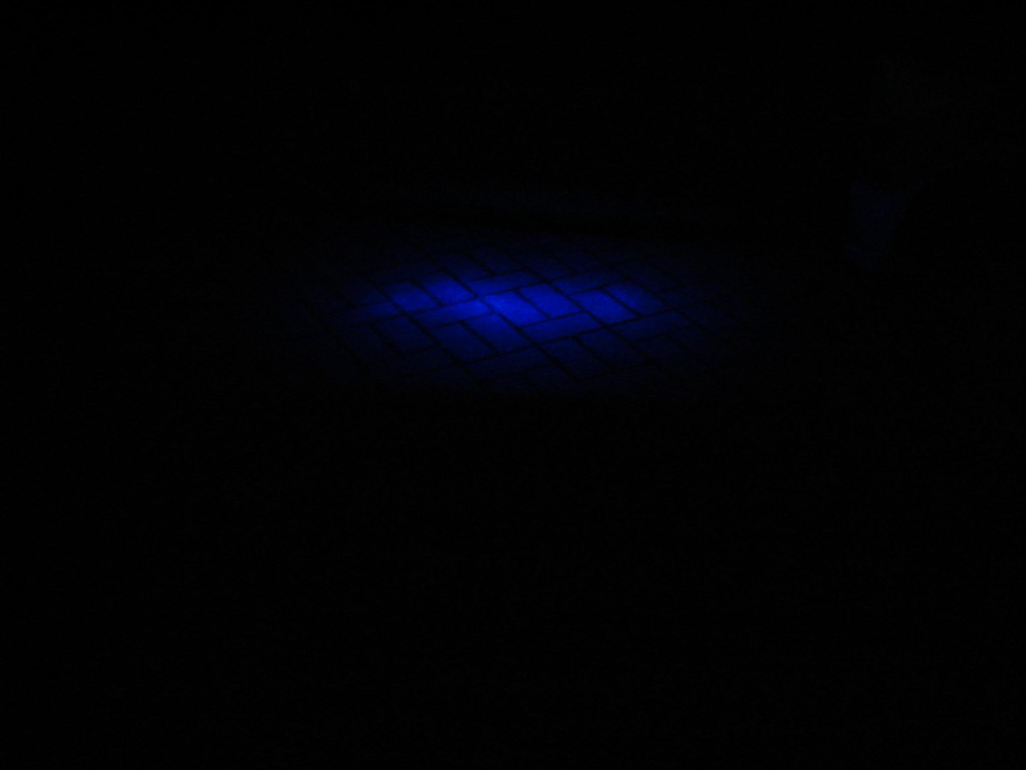 DSC00093.JPG