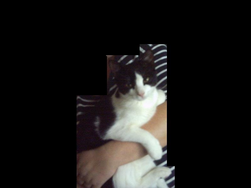 PICT0004ut.JPG