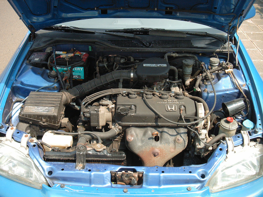 SIMG0020.JPG