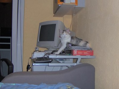 IM000296.JPG