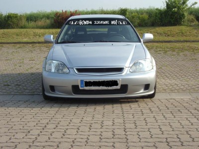 matze25wl.jpg