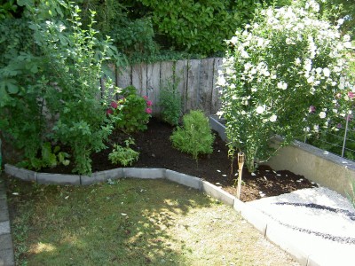 PICT0096.JPG