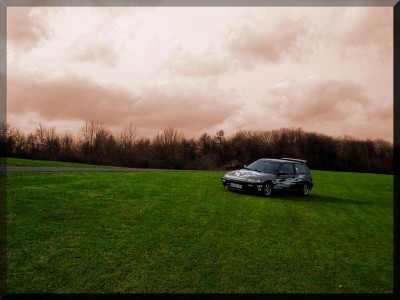 sh3.jpg