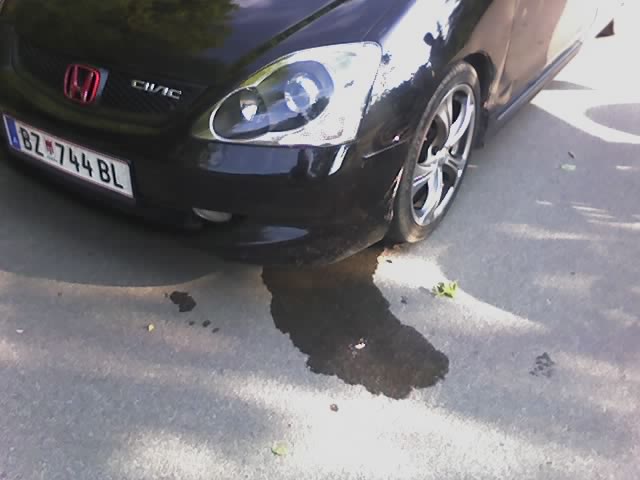 under_car.jpg
