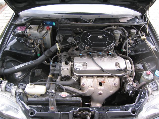 1 050.jpg