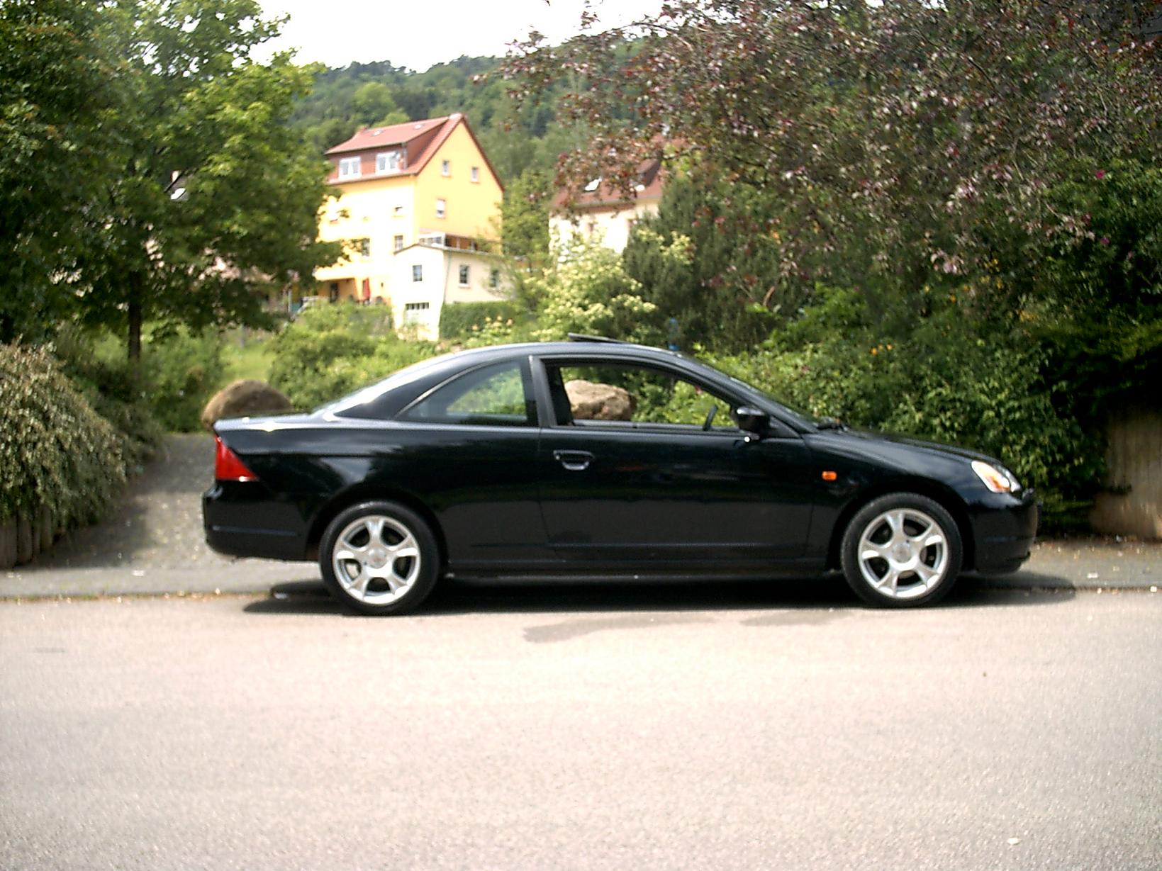 Coupe 3.JPG